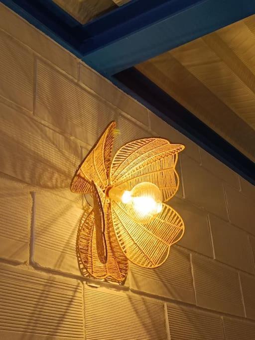 Peces